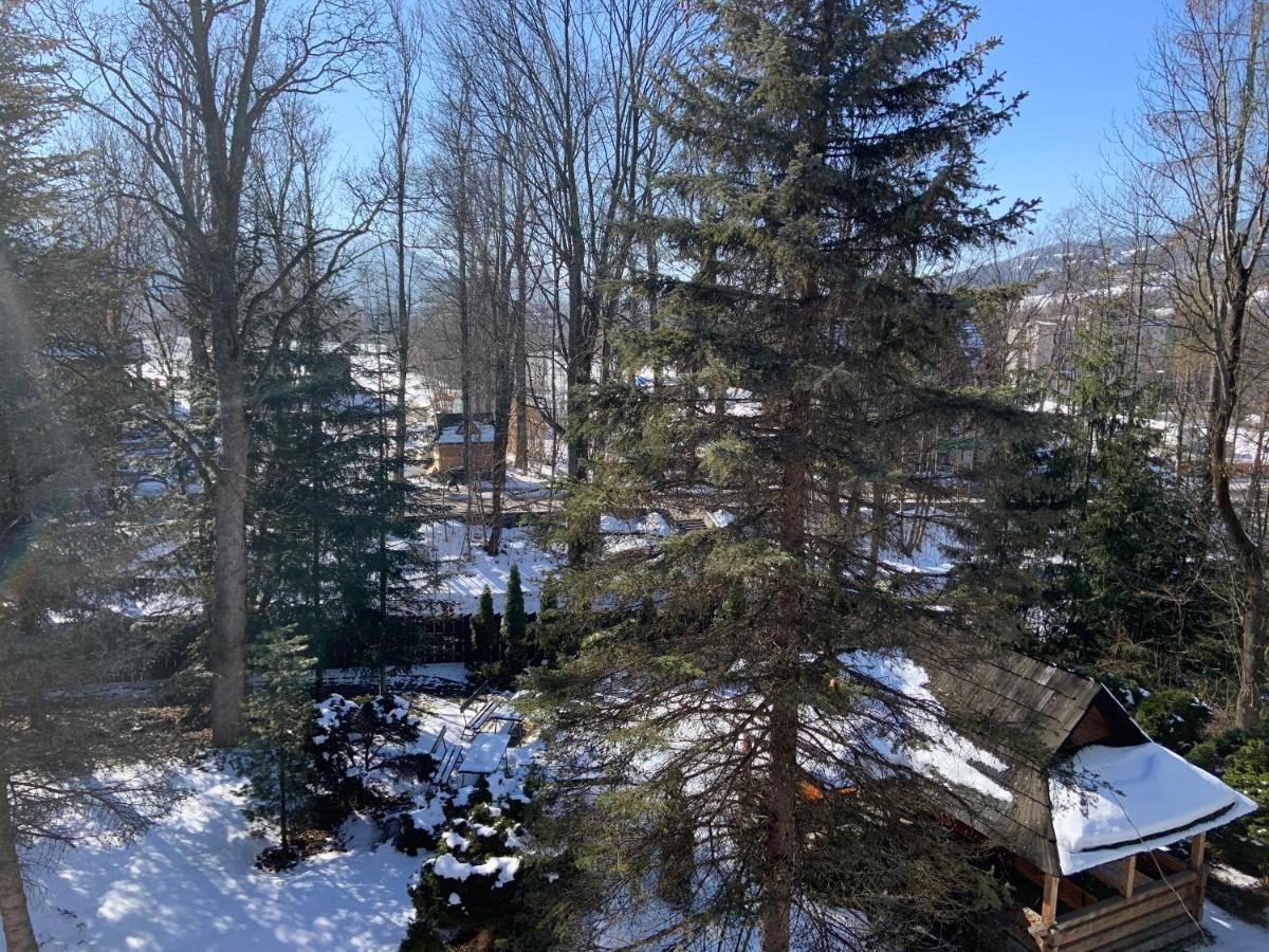 OW Jaskółka Zakopane Exterior foto
